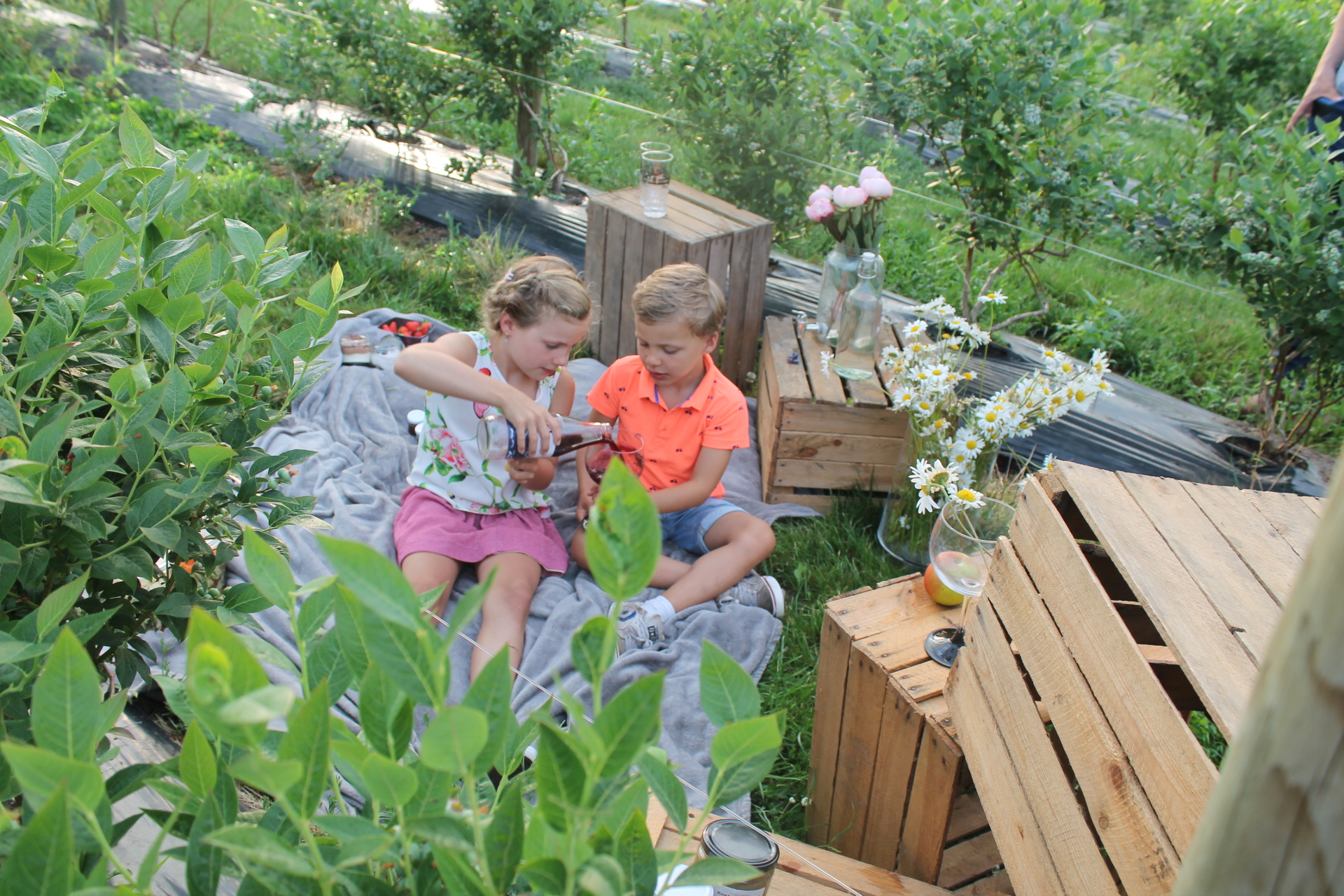 Picknick met Hoogstraatse producten