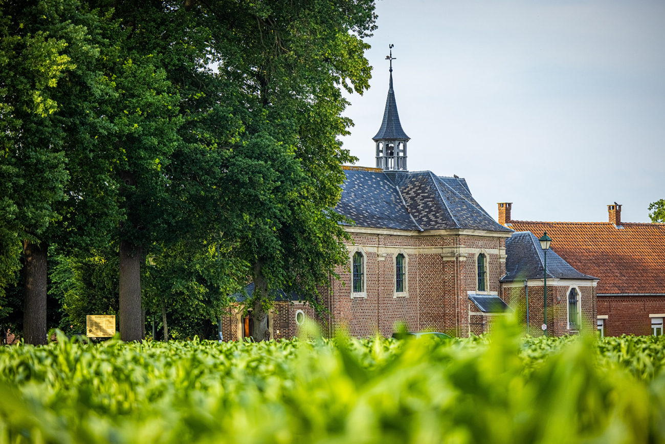 Wandeling rond het kasteel VisitHoogstraten