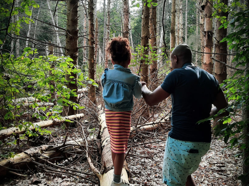 Kortebeentjespad (4)