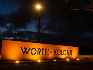 Wortel-Kolonie
