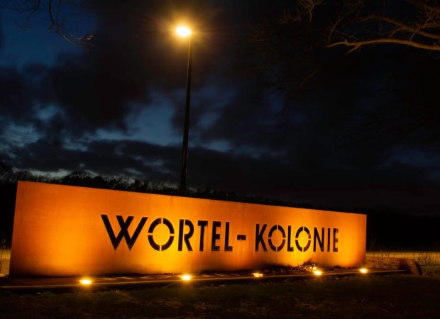 Wortel-Kolonie