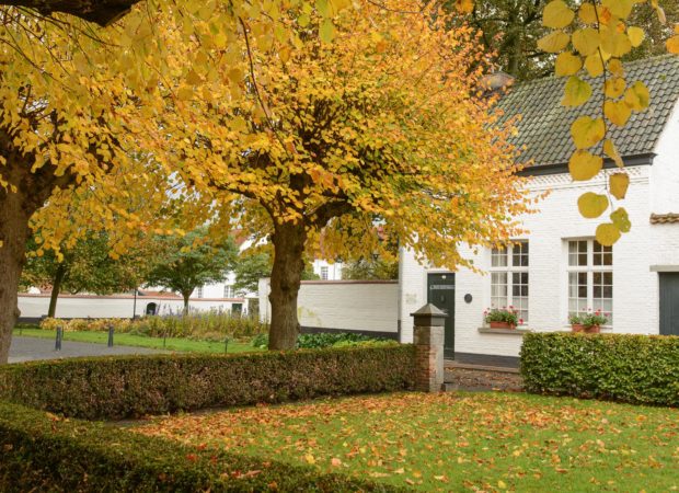 Begijnhof herfst