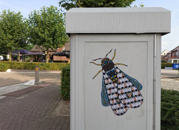 Op insectenjacht met Pol Cosmo