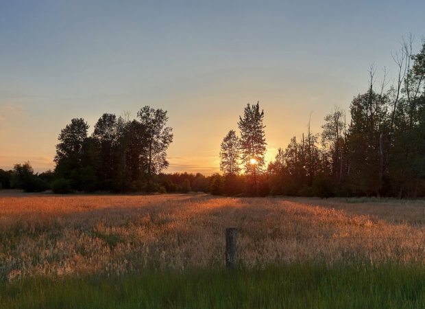 Lange Gooren - Maxburgpad