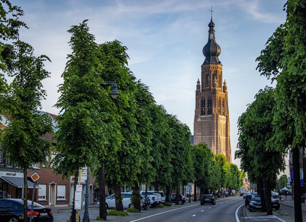 Stadswandeling Hoogstraten - zicht op de Vrijheid