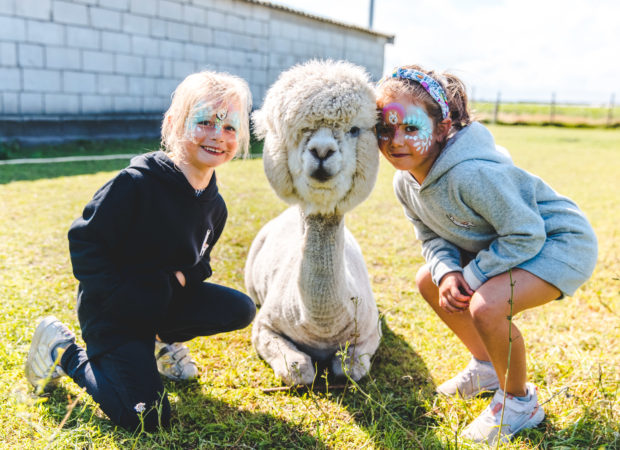 Epic Alpaca Farm Hoogstraten