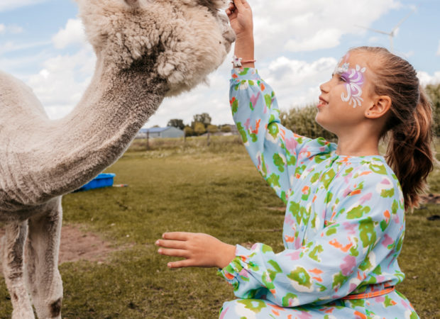 Epic Alpaca Farm Hoogstraten