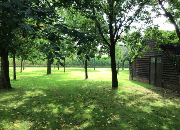 Tentkamperen in de fruitboomgaard