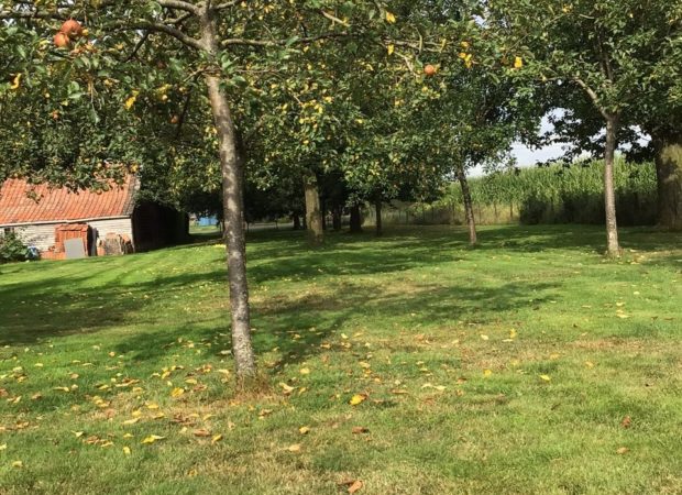 Kamperen in de fruitboomgaard