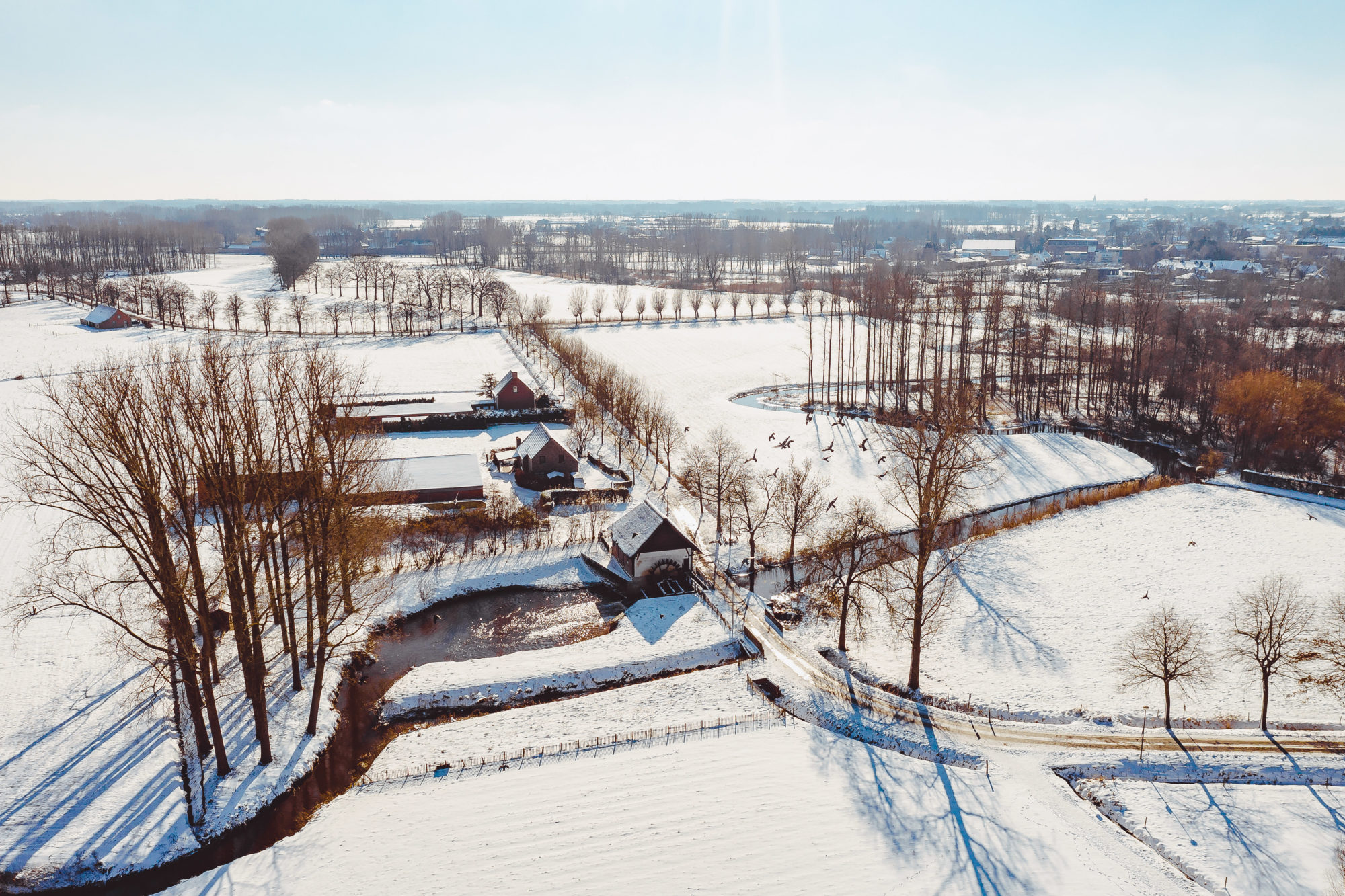 Winter in Hoogstraten