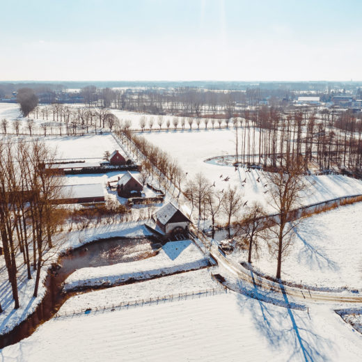 Winter in Hoogstraten