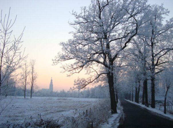 Zicht op Sint-Catharinakerk
