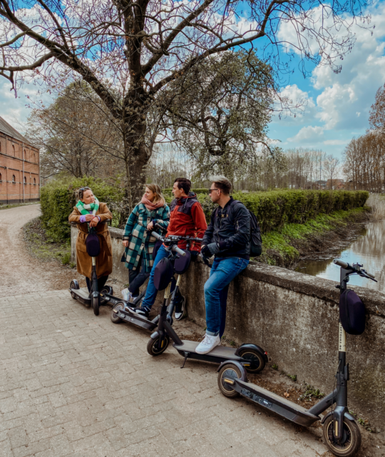 Reismicrobe in Hoogstraten