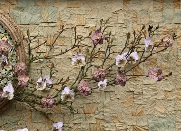 Fotowedstrijd Hoogstraten in groenten en bloemen