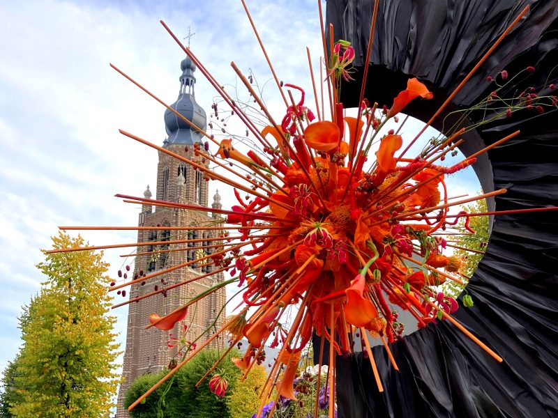 Hoogstraten in groenten en bloemen